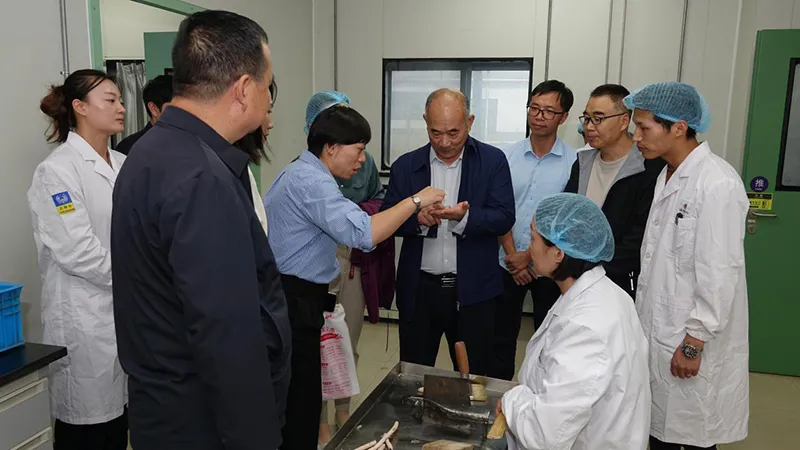 �й���������