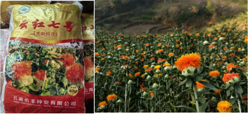 �й���������