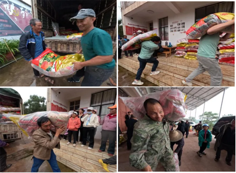 �й���������